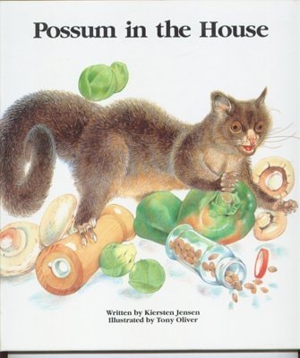 Possum in the House