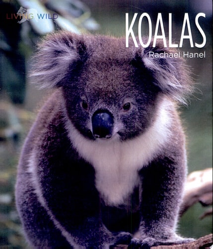 Koalas (Living Wild)