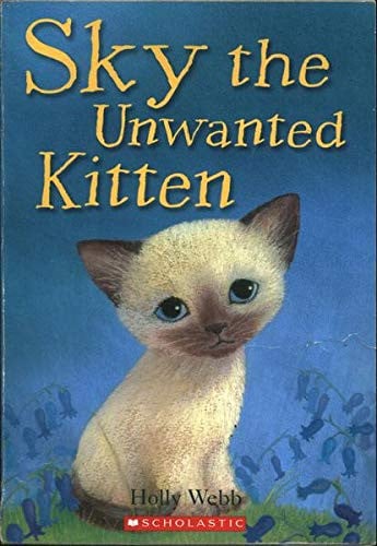 Sky The Unwanted Kitten