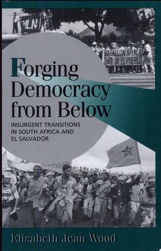 Forging Democracy from Below: Insurgent Transitions in South Africa and El Salvador (Cambridge Studies in Comparative Politics)