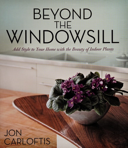 Beyond the Windowsill: Add Style to Your Home with the Beauty of Indoor Plants