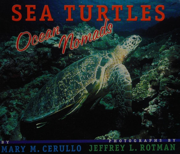 Sea Turtles: Trade Novel Grade 4 (Journeys)