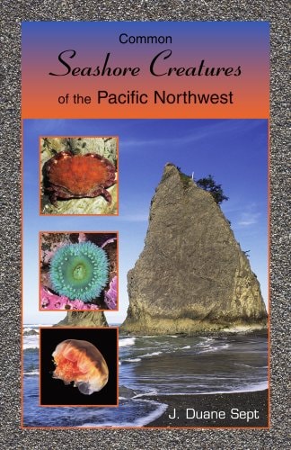Common Seashore Creatures of the Pacific Northwest