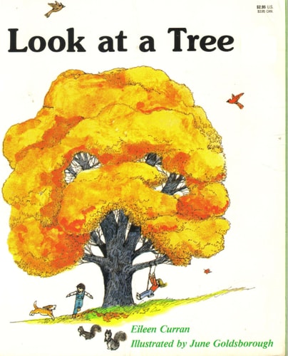 Look at a Tree (Now I Know First Start Reader)