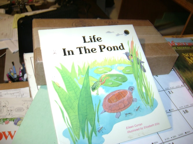 Life in the Pond (Now I Know First Start Reader)
