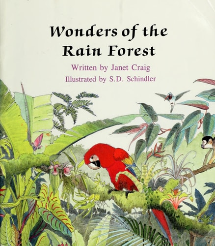 Wonders of the Rain Forest