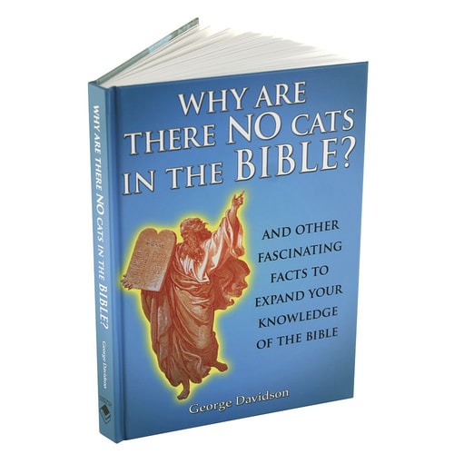 Why Are There No Cats In The Bible?: And Other Fascinating Facts to Expand Your Knowledge of the Bible