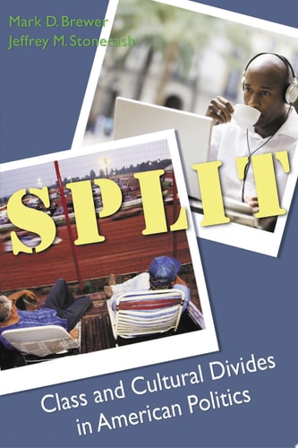 Split: Class and Cultural Divides in American Politics