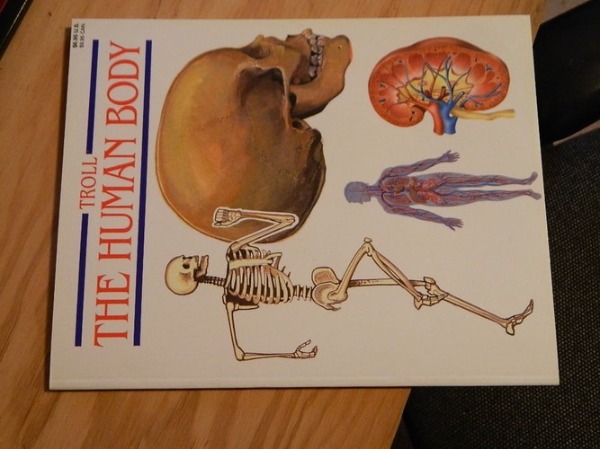 The Human Body