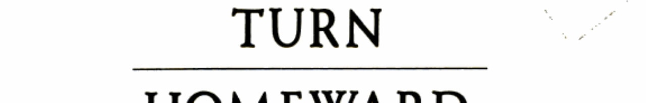 Turn Homeward, Hannalee (A Troll Book)