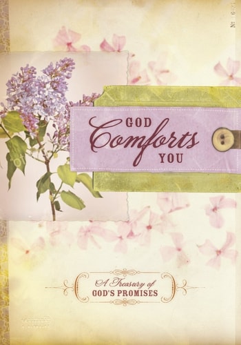 God Comforts You Promise Book