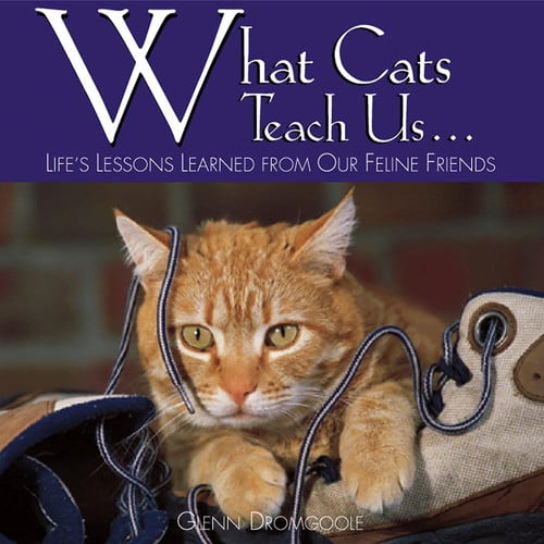 What Cats Teach Us...: Life's Lessons Learned from Our Feline Friends