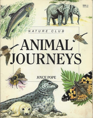Animal Journeys (Nature Club)