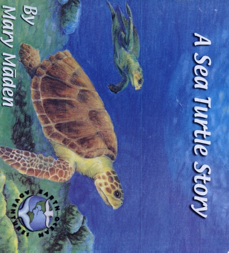 A Sea Turtle Story (Earth/Ocean Adventures, #4)