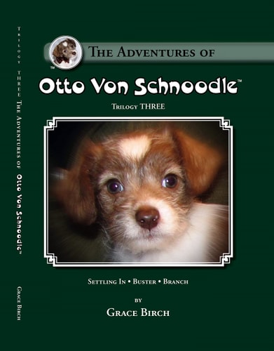 The Adventures of Otto Von Schnoodle- Trilogy THREE