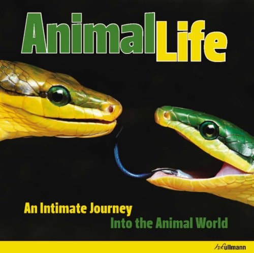 Animal Affairs