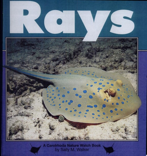 Rays (Nature Watch)