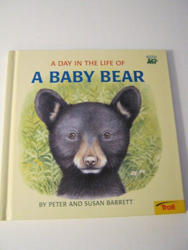 A Day in the Life of a Baby Bear: The Cub's First Swim