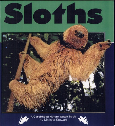 Sloths (Nature Watch)