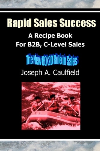 Rapid Sales Success: A Recipe Book For B2B, C-Level Sales