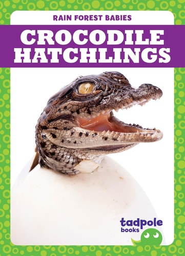 Crocodile Hatchlings (Tadpole Books: Rain Forest Babies)