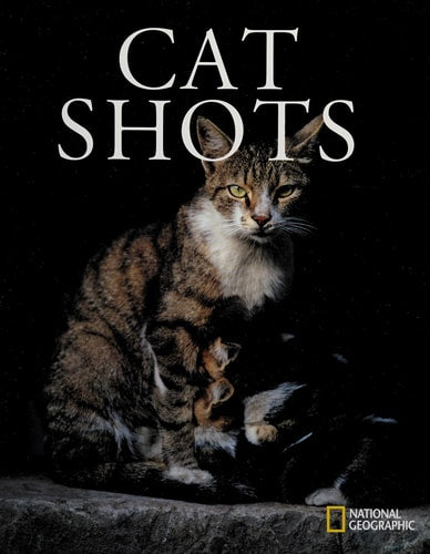 National Geographic Cat Shots