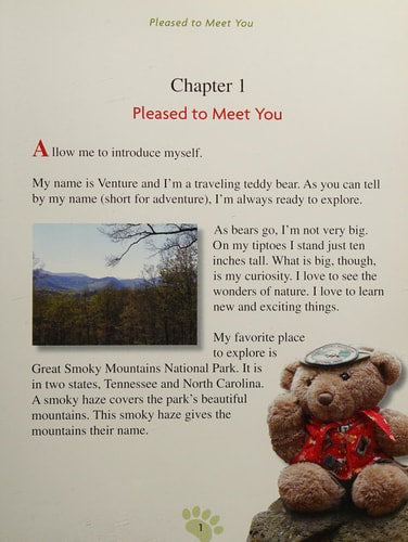 Venture to the Smokies: A Teddy Bear Explores Great Smoky Mountains National Park