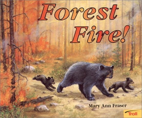 Forest Fire