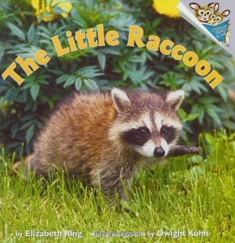 The Little Raccoon (Pictureback(R))
