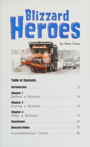 Blizzard Heroes