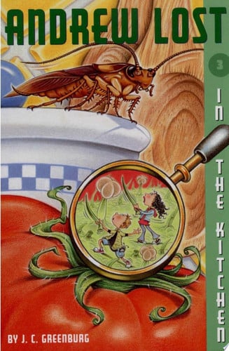 In the Kitchen (Andrew Lost #3)