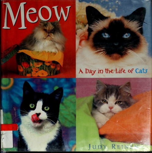 Meow: A Day in the Life of Cats