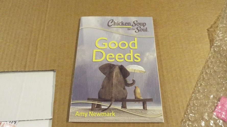 Good Deeds (Chicken Soup for the Soul)