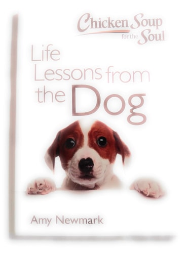 Chicken Soup for the Soul Life Lessons from the Dog