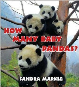 How Many Baby Pandas? / Scholastic Book Fair Edition