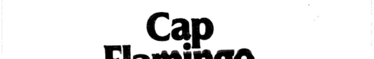 Cap Flamingo (Harlequin Romance, No. 884)