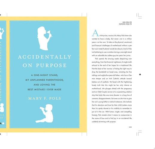 Accidentally on Purpose: A One-Night Stand, My Unplanned Parenthood, and Loving the Best Mistake I Ever Made