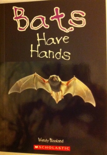 Bats Have Hands