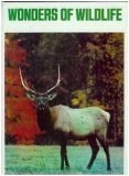 Wonders of Wildlife In America