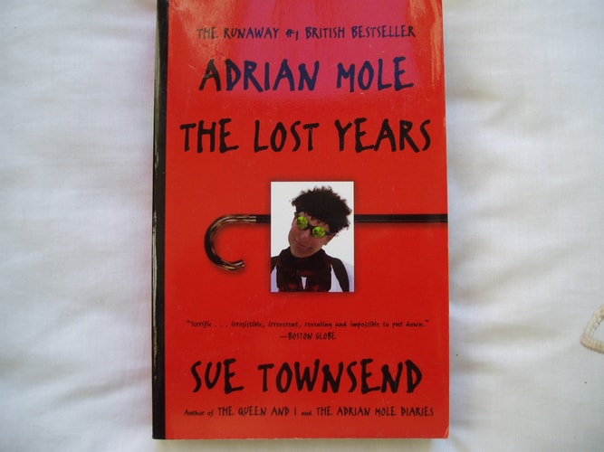 Adrian Mole: The Lost Years