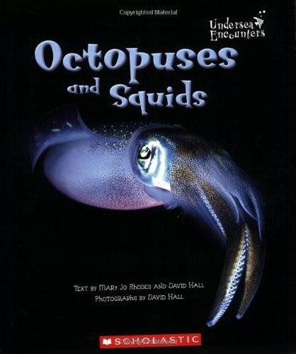 Octopuses and Squids (Undersea Encounters)