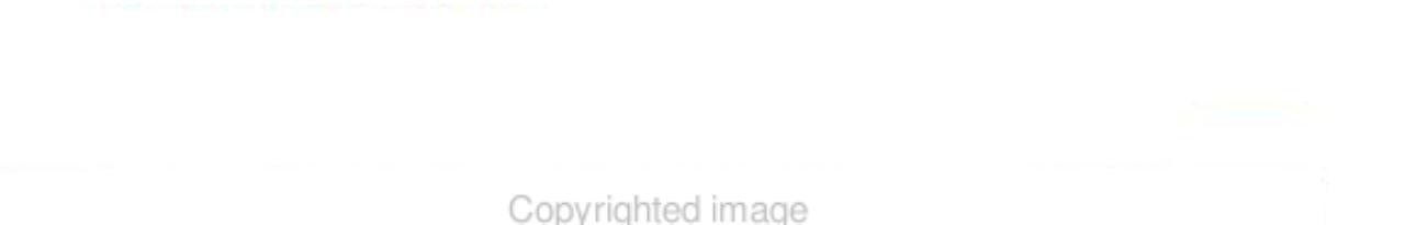 Houghton Mifflin English Grade 10 (Teachers Edition)