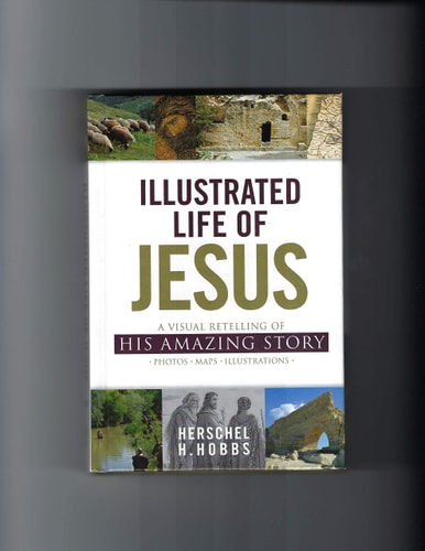 Illustrated Life of Jesus