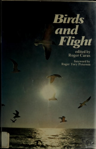 Birds in flight