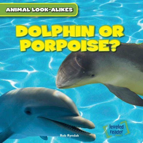Dolphin or Porpoise? (Animal Look-alikes)