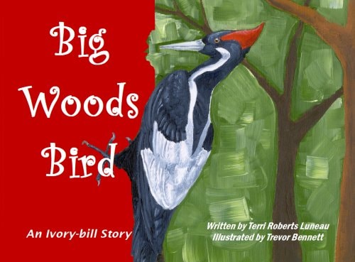 Big Woods Bird: An Ivory-bill Story