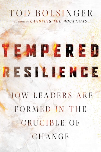 Tempered Resilience How Leaders Are Formed in the Crucible of Change