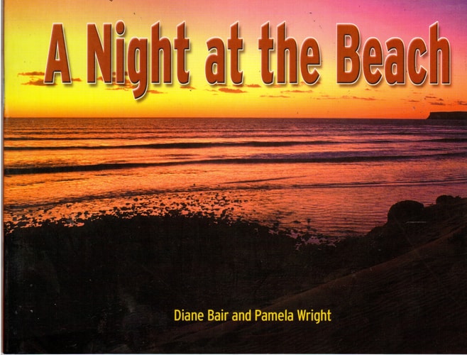 Rigby Literacy: Leveled Reader Grade 5 Night at the Beach, a