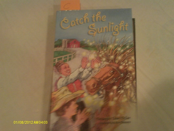 Catch the Sunlight