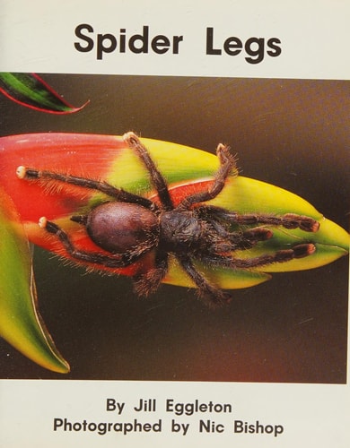 Spider legs (TWIG Books)